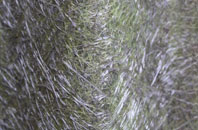 Ten Acres fibreglass roof work